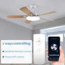 smart-wifi-fan-switch-ceiling-fan-and-li-2.jpg