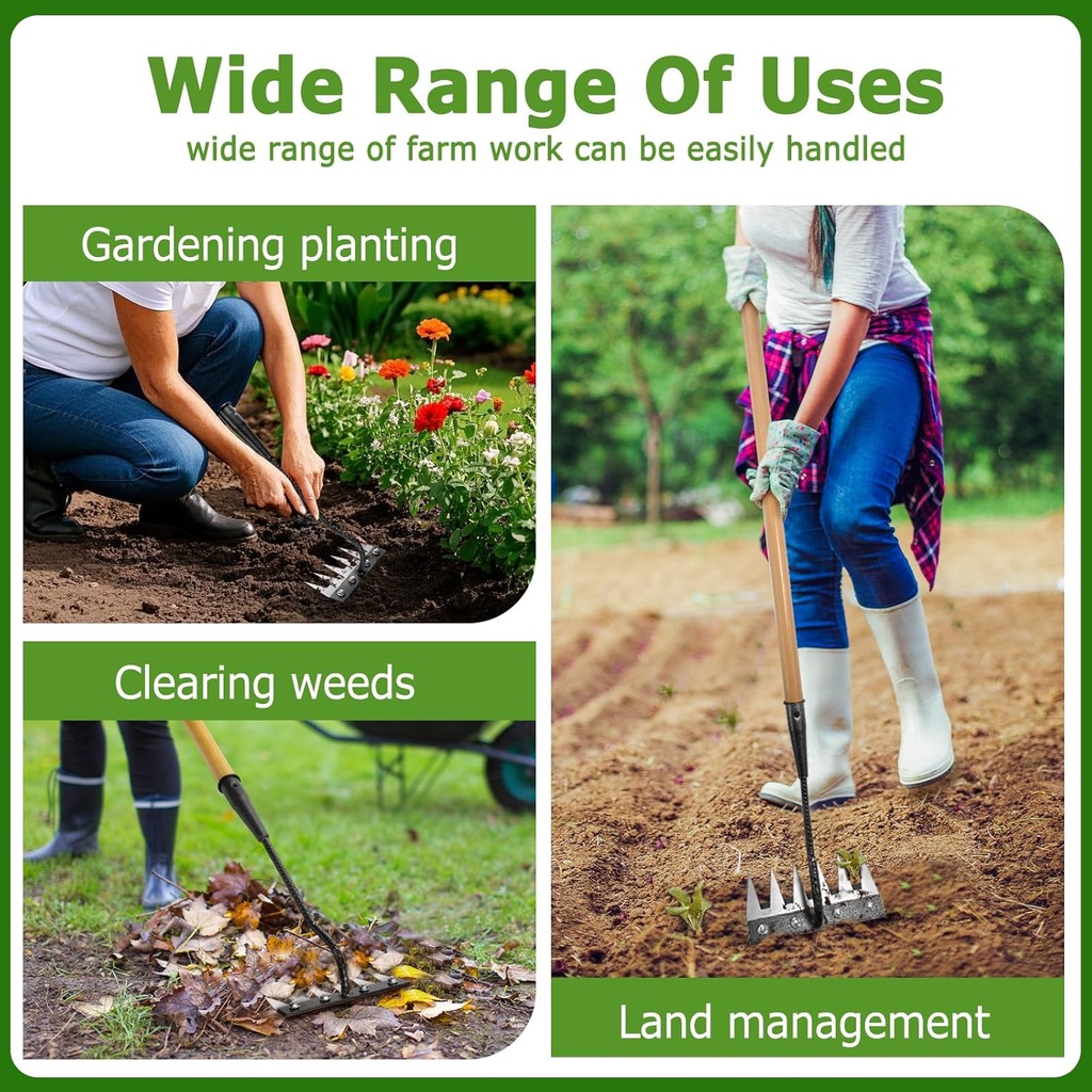 gardenia-iron-weeding-rake-20-iron-weedi-5.jpg