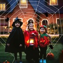 giant-spider-web-halloween-decorations---5.jpg