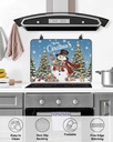 christmas-countertop-burners-protection--5.jpg