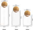 3-pcs-glass-jars-with-cork-ball-lid-set--2.jpg