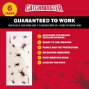 catchmaster-brown-recluse-spider-giant-g-4.jpg