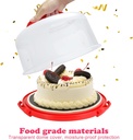 cake-carrier-with-lid-and-handle-fit-10--3.jpg