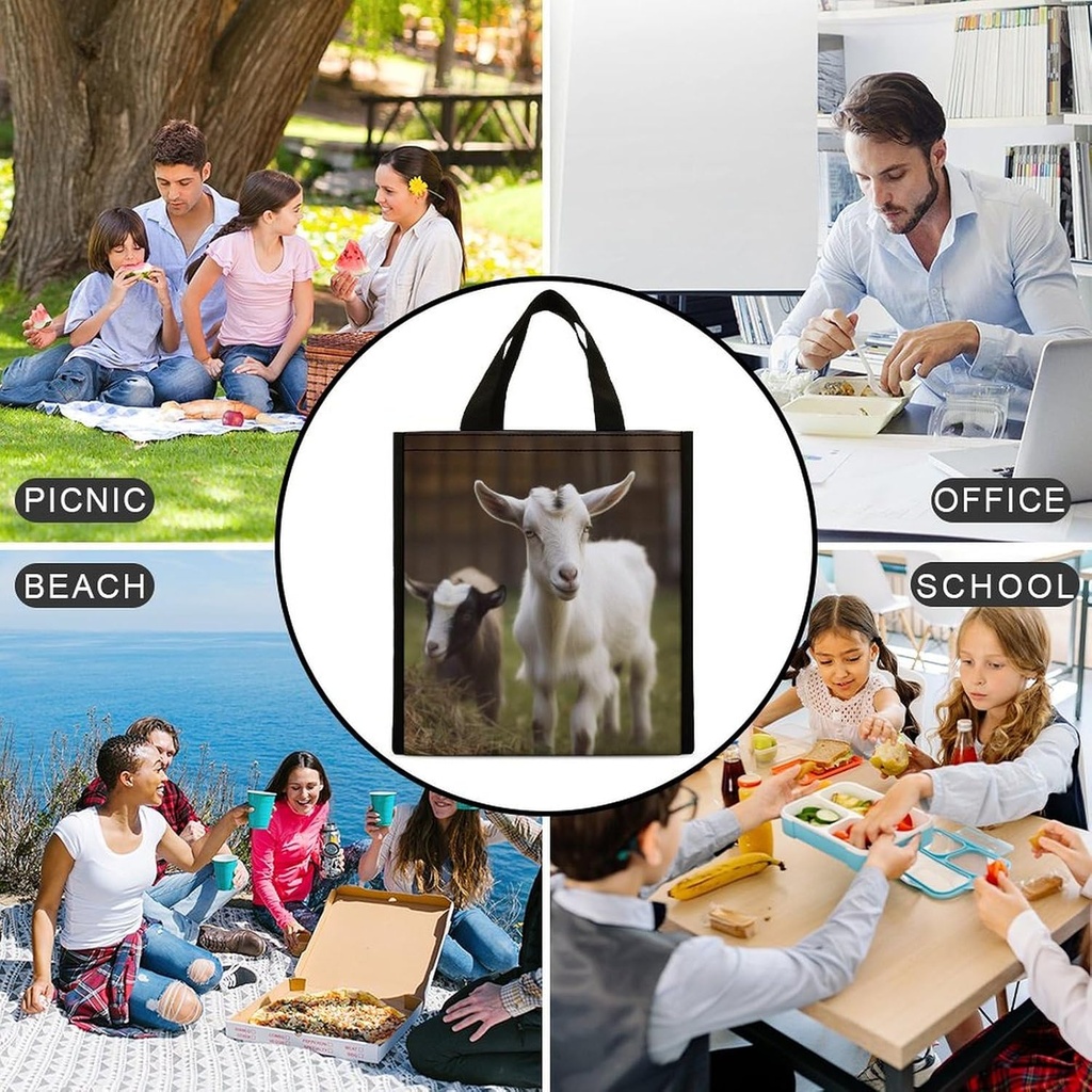 reusable-insulated-lunch-bag-box-9l-leak-6.jpg