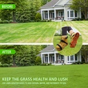 lawn-aerator-shoes-for-grass-aeration-sh-5.jpg