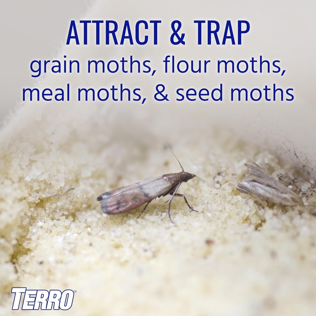 terro-pantry-moth-traps---attracts-and-t-2.jpg