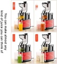 tsolay-commercial-electric-slow-juicer-s-2.jpg