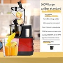 tsolay-commercial-electric-slow-juicer-s-4.jpg