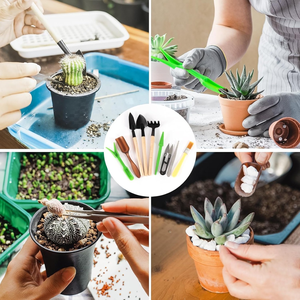 garden-tool-set-including-9-succulent-to-4.jpg