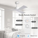wingbo-52-dc-ceiling-fan-without-lights--3.jpg