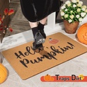 uini-fall-door-mat-hello-pumpkin-welcome-2.jpg