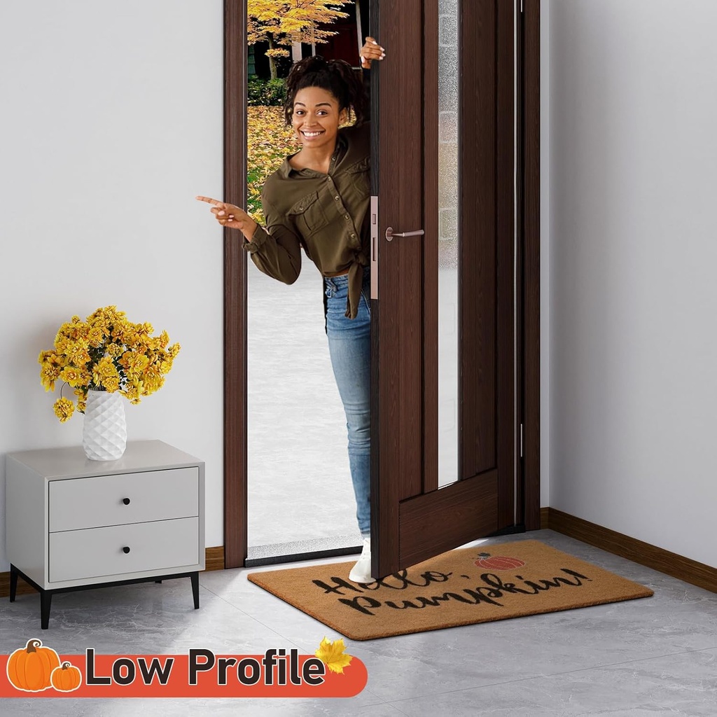 uini-fall-door-mat-hello-pumpkin-welcome-5.jpg