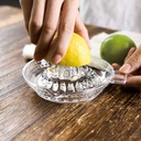 lemon-squeezer-fruit-hand-squeezer-hand--6.jpg