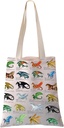 pxtidy-dragon-novel-characters-tote-bag--2.jpg