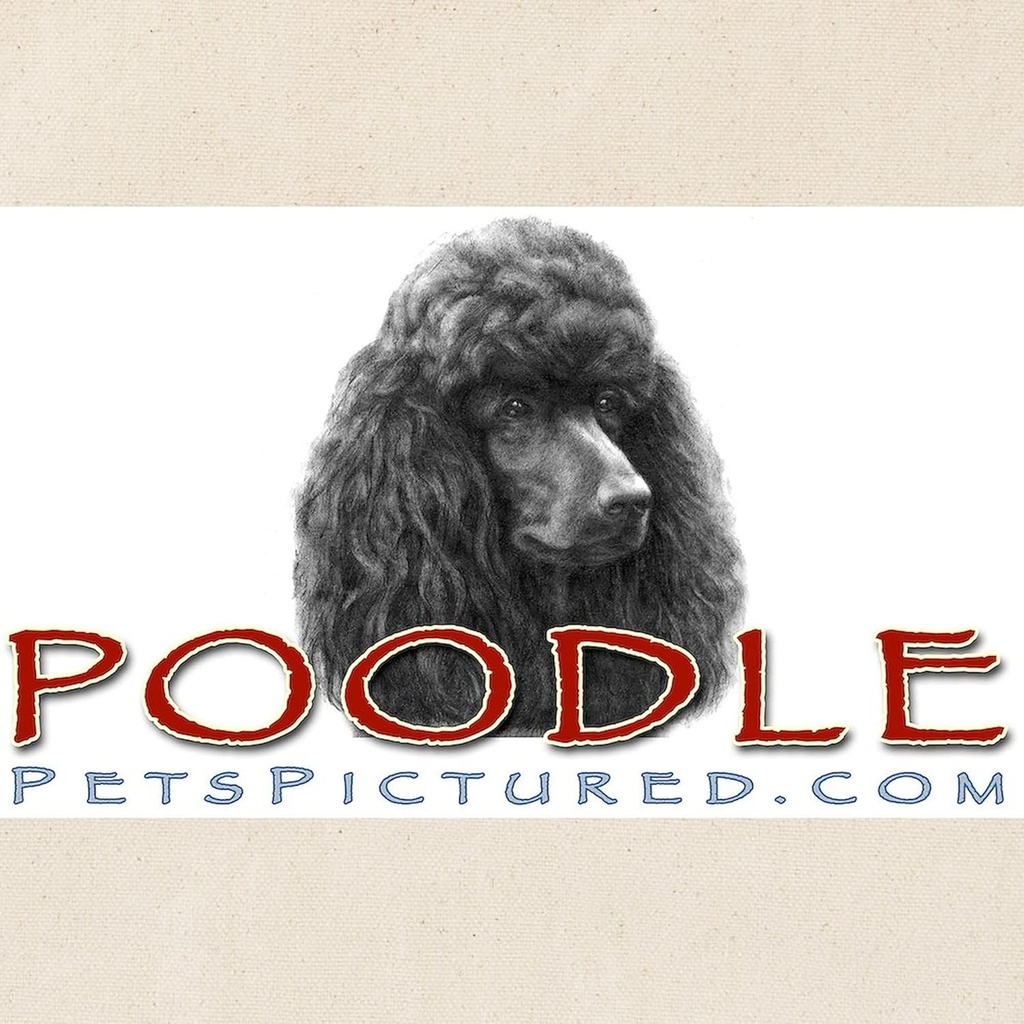 cafepress-black-or-chocolate-poodle-tote-4.jpg