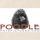 cafepress-black-or-chocolate-poodle-tote-4.jpg