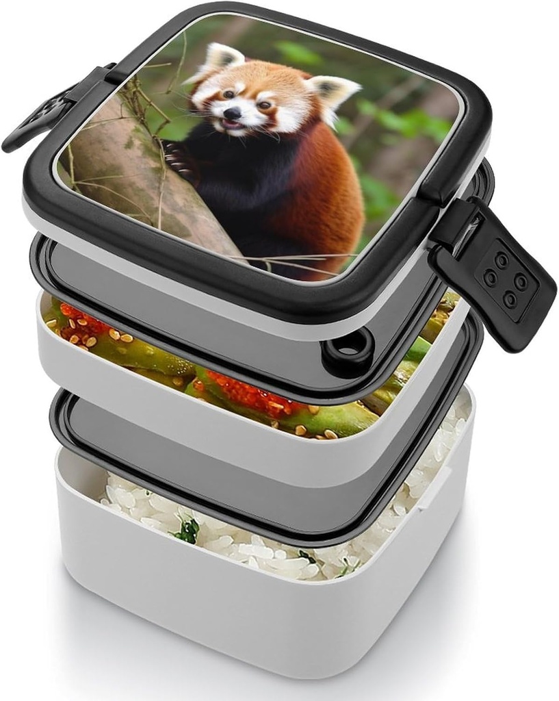 bento-box-for-adult-little-red-panda-ben-5.jpg