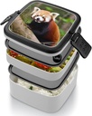 bento-box-for-adult-little-red-panda-ben-5.jpg
