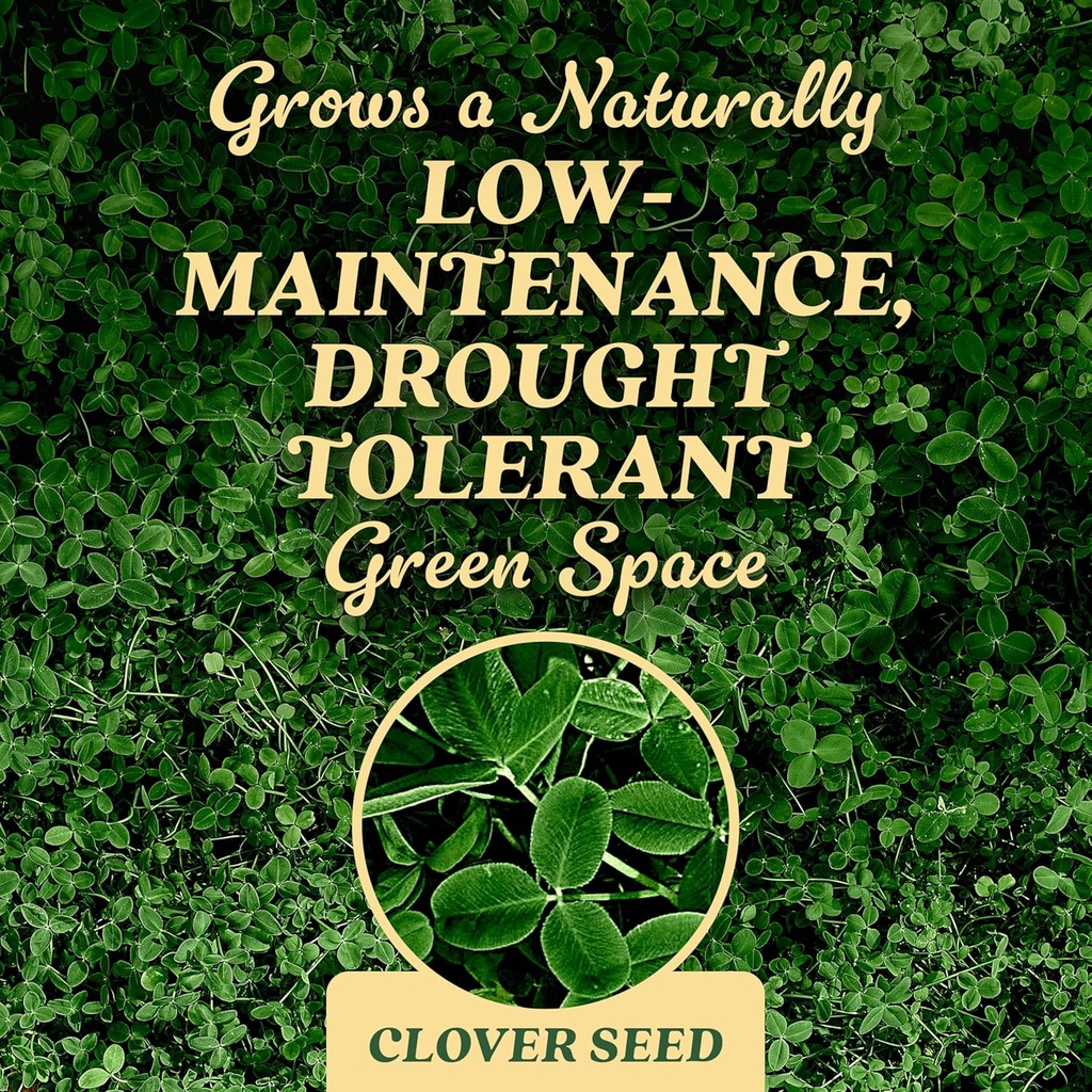 om-scott-and-sons-clover-seed-lawn-seed--5.jpg