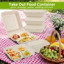 greensight-compostable-take-out-containe-2.jpg