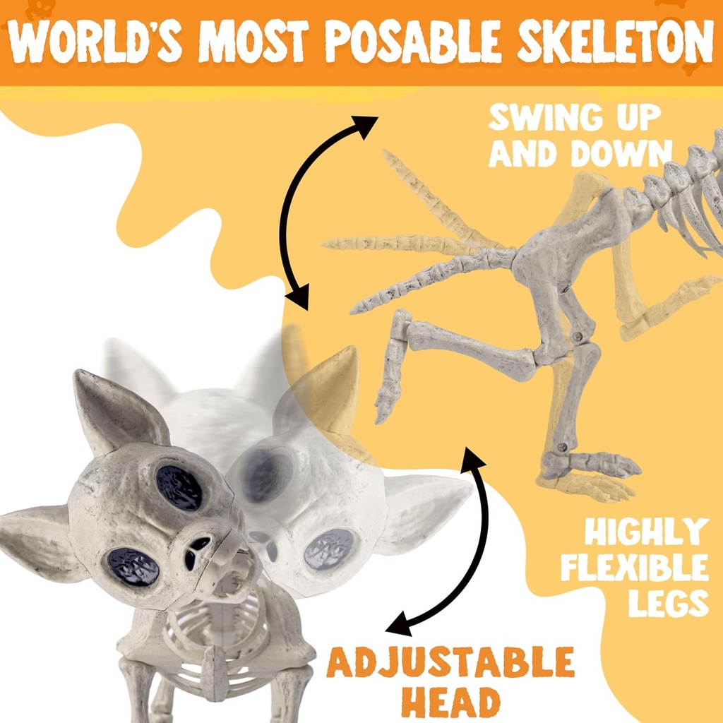 joyin-plastic-chihuahua-dog-skeleton-hal-3.jpg