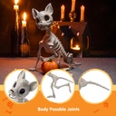 joyin-plastic-chihuahua-dog-skeleton-hal-4.jpg