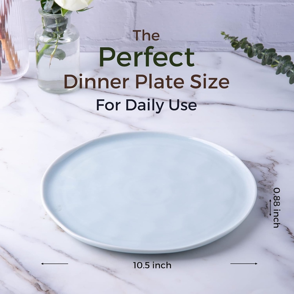 leratio-dinner-plates105-inch-ceramic-pl-2.jpg