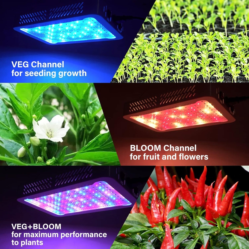 1000w-led-grow-light-for-indoor-plants-f-2.jpg