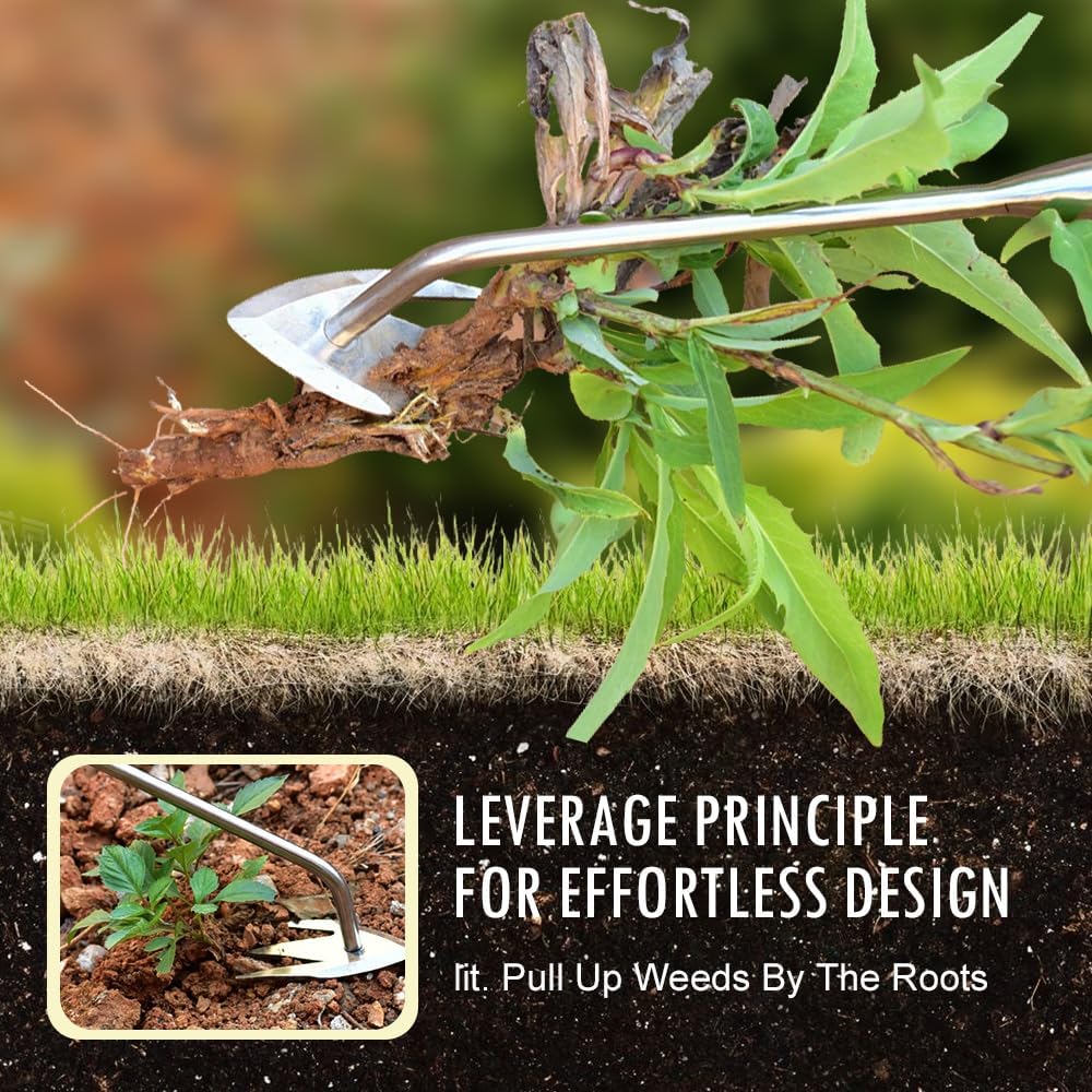 manual-weed-remover-tool-for-lawn-and-ga-6.jpg