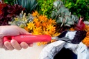 multi-scoop-garden-tool-with-comfortgel--4.jpg