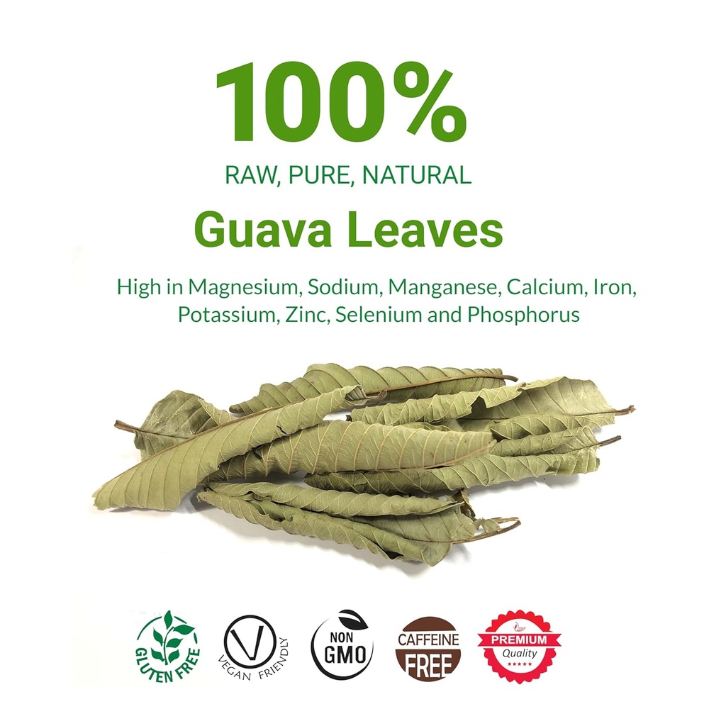 26oz-hoja-de-guayaba-dried-guava-leaf-na-2.jpg