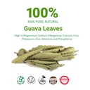 26oz-hoja-de-guayaba-dried-guava-leaf-na-2.jpg