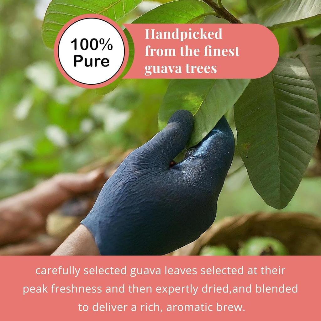 26oz-hoja-de-guayaba-dried-guava-leaf-na-5.jpg