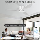 52-wood-smart-ceiling-fans-with-light-an-2.jpg