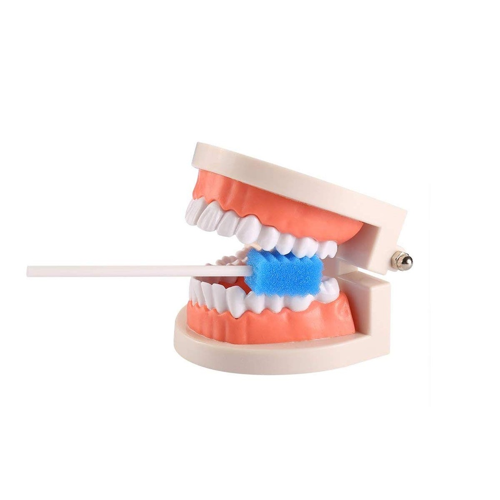 disposable-oral-care-swabs-tooth-cleanin-51UCwulllcL.jpg