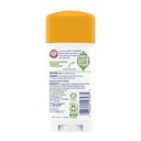 arm-hammer-deodorant-rosemary-lavender-2-71pM2FUtfnL.jpg