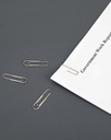 paperpal-paperclips-for-office-school-pe-71lQpfI5MIL.jpg