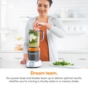 nutribullet-nb50200or-select-1000-watt-o-71LmiOKFBtL.jpg