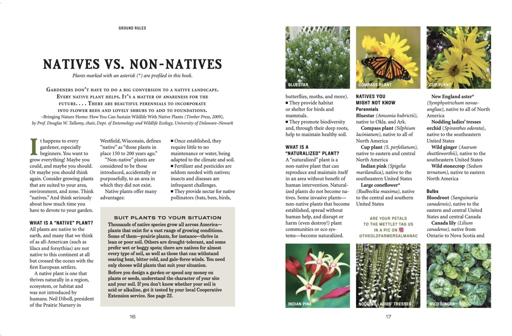 the-old-farmer-s-almanac-flower-gardener-81skZOp72qL.jpg