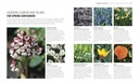 beginner-gardening-step-by-step-a-visual-81fDzQaG-3L.jpg