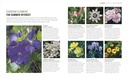 beginner-gardening-step-by-step-a-visual-81fGLg3-4cL.jpg