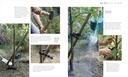 beginner-gardening-step-by-step-a-visual-81Q0yUko4uL.jpg