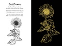 garden-fairies-scratch-and-sketch-an-art-81keAXlranL.jpg