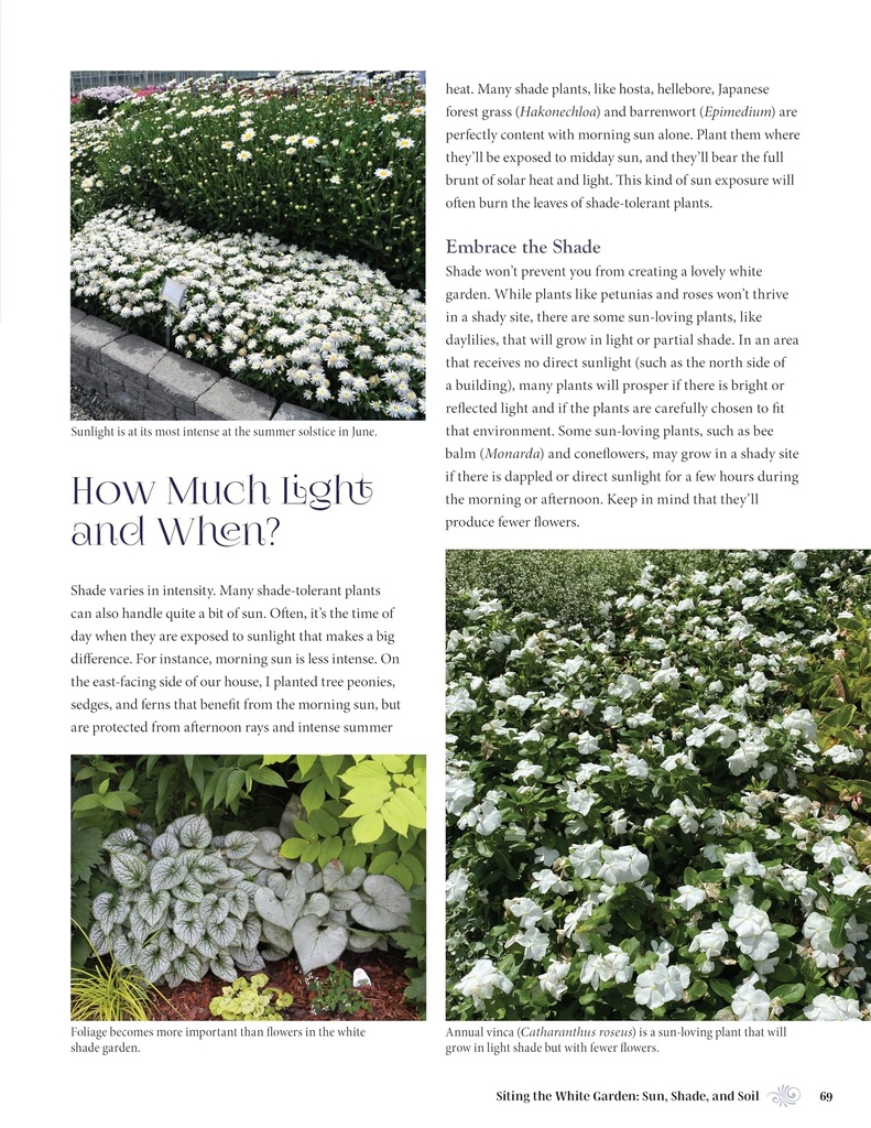 white-gardens-creating-magnificent-moonl-91pYljlk4+L.jpg