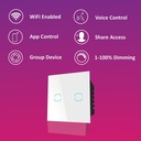 homemate-wifi-ble-2-way-2-gang-touch-swi-71dc7XaFE1L.jpg
