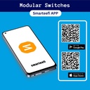 smarteefi-2-port-wifi-smart-switch-modul-61nhMdVKsFL.jpg