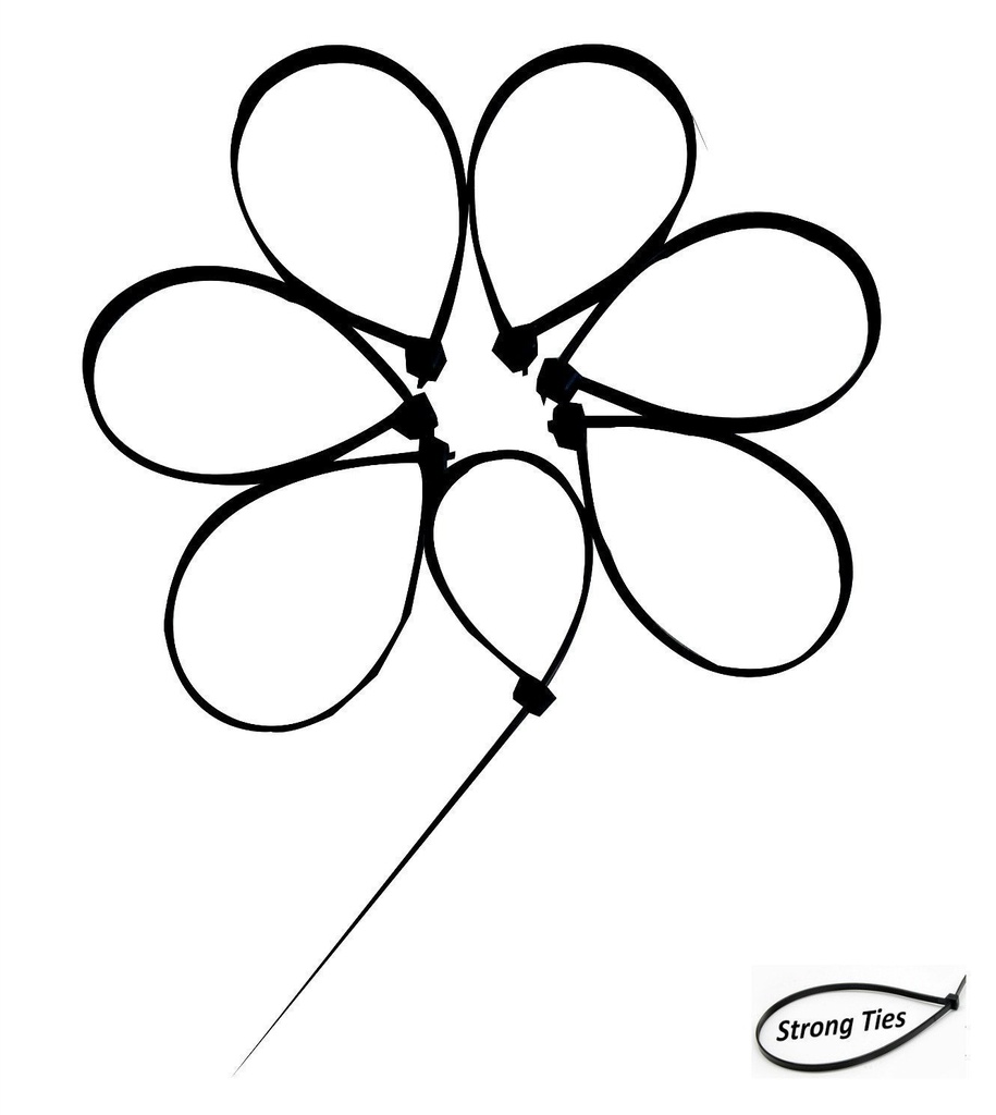 ela-4-inch-cable-ties-nylon-zip-wire-org-61zkttyVVnL.jpg