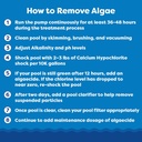 in-the-swim-super-algaecide-for-above-gr-5.jpg
