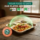 eco-soul-5-compartment-bagasse-meal-tray-81HSAIe3hFL.jpg