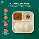 eco-soul-3-compartment-bagasse-meal-tray-71GFuAbKSXL.jpg